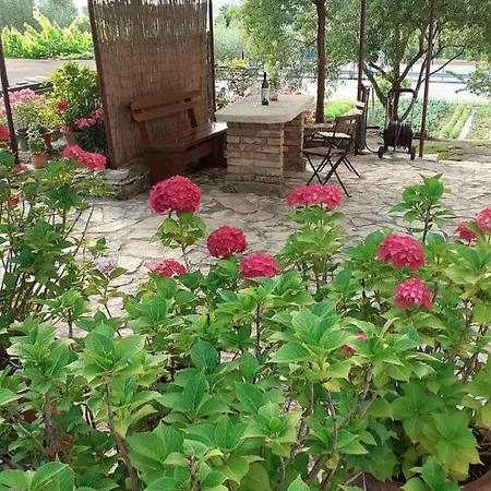 Apartma Fiorina Сasa de vacaciones Sečovlje